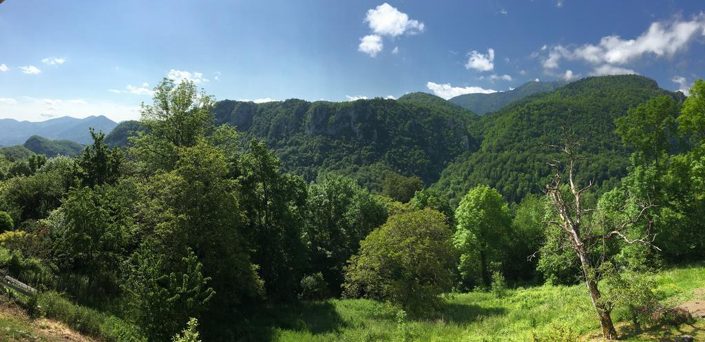 Gite De Serrelongue Montségur Dış mekan fotoğraf
